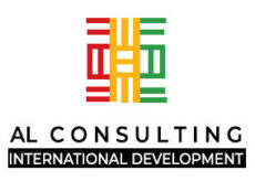 Consulting in International Development